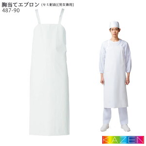 yPT2{&ő600~N[| 11/27 2z ăGv(Z~ϖ) 487-90 jp KAZEN J[  H HiH ϐ iC rj[ ^[| HX jtH[