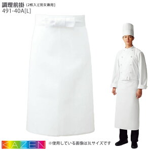 yPT10{&ő600~N[| 11/27 2z (L) 491-40A O|(2) jp KAZEN J[ Gv  aH ~[ HX jtH[