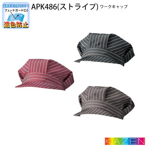 yPT2{ 12/13 10`12/15z [NLbv XgCv APK486 jp KAZEN J[ Hi ڋq  HX jtH[