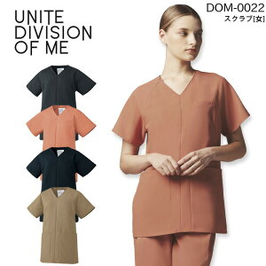 XNu p    DOM-0022 fB[X Ԃ^Cv h~ d  a@ hN^[ t i[XEFA GXe e NjbN SS-3L