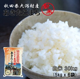 あきたこまち 白米30kg（5kg×6袋）【農家直送】秋田県大潟村産 2023年産 特別栽培米 あきたこまち 脱酸素袋《送料無料》