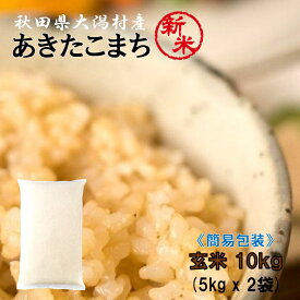 あきたこまち 玄米10kg（5kg×2袋）●安心の石抜き済●【農家直送】秋田県大潟村産 2023年産 特別栽培米 あきたこまち 簡易袋 《送料無料》