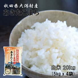 あきたこまち 白米20kg（5kg×4袋）【農家直送】秋田県大潟村産 2025年産 特別栽培米 あきたこまち 脱酸素袋《送料無料》