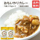 食品添加物不使用 酵母エキス不使用 たんぱく加水分解物不使用 国産小麦粉100% おもいやりカレー 2袋セット （6食分 2袋セット) 甘口 子供 送料無料 買い回り 植物性油脂 カレールー 動物性油脂不使用 カレールウ カレールゥ カレー粉 おすすめ 思いやり