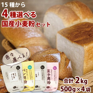 IŊy􍑎YZbg 500g×4(2kg)  ͕ ͕ ͕ ͏ pp 育˃p z[x[J[ ǂ NbL[  Y