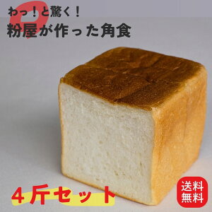 Y100 IƋIpH Y̏ Вc̃pH[ H[璼 H[ El  Ă Ⓚ 󒍐Y 