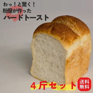 yԌ菤izY100 IƋIn[hg[Xg Y̏ Вc̃pH[ H[璼 H[ El  Ă Ⓚ 󒍐Y 