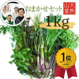 山菜ランキング1位受賞！【2024年予約販売】天然山菜セット1kgおまかせセット (採取者・笑顔の里)天然山菜/新潟県魚沼産