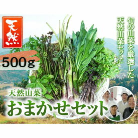 山菜ランキング1位受賞！【2024年予約販売】天然山菜セット500gおまかせセット (採取者・笑顔の里)天然山菜/新潟県魚沼産