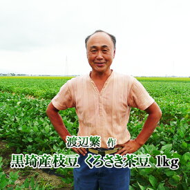 新潟県黒埼産枝豆　くろさき茶豆 1kg箱 (生産者・渡辺) お中元 ギフト