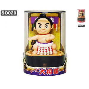 \[[gC \[[告oAACu[߂ JAPAN SOLOR TOY {݂̂₰ tBMA zbƂ ₳  drv炸