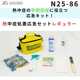 熱中症処置応急セット レギュラー n25-86【熱中症】【経口補水液】【応急処置】【救急セット】【熱中症対策グッズ】（n25-86）