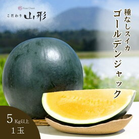 【予約開始 7月下旬以降順次発送予定】ゴールデンジャック スイカ 中玉 山形県産 村山 5kg以上 種なし ギフト お中元 贈答用 山形 すいか