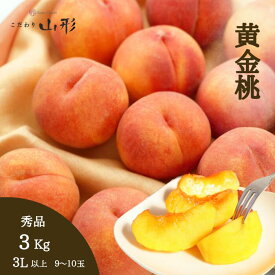 桃 黄金桃 山形県産 東根 3L 3kg 秀品 黄桃 もも ギフト 家庭用 8月下旬頃順次発送予定