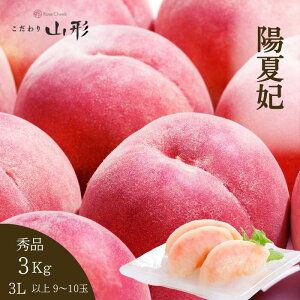 �� �z�Ĕ� �R�`���Y ���� 3L 3kg �G�i ���� ���� �M�t�g �ƒ�p 8�����{�ȍ~���������\�� �d�� �����{ �����x ��������Â� �R�`