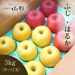  ӂ ͂邩 R`Y V Hה׃Zbg 3kg  Mtg Ε ƒp 11{ȍ~\