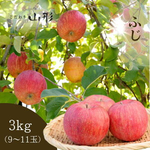  ӂ R`Y V 3kg Mtg p ƒp 11{\