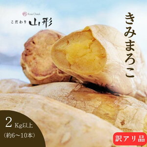 ܂ ݂܂낱 R`Y R 2kg ƒp 󂠂 ͔|Ԓ_sgp