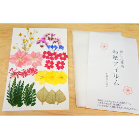 楽天市場 押し花 フィルムの通販