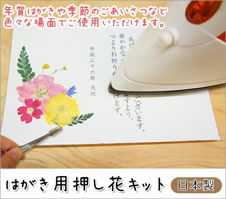 楽天市場 押し花 はがき 年賀状 手作り ポストカード アイロン 簡単 日本製 はがき用押し花キット おしゃれ おすすめ ギフト プレゼント 贈り物 かわいい 誕生日 おうち時間 趣味 キット 押花 ハンドメイド 初心者 ものずくり 花 手紙 アート デコ 手作りキット 工作