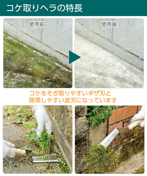 楽天市場 苔 コケ こけ 草取り 除草 道具 雑草 園芸用品 ガーデニング 雑貨 苔取り 庭仕事 コケ取りヘラ こだわり雑貨本舗