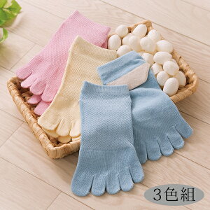 C \bNX  lC  Vv VN5{wbV\bNX 3Fg 5{w fB[X Zbg VN ƃPA bV Sn u ŋ bOEH[}[ h 