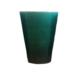 My Jbv Rbv  bN Shigaraki jewel Cup Gh a     Mtg j v[g 蕨 IXX j a j  j v[