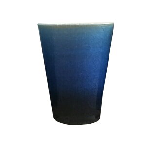 My Jbv Rbv  bN Shigaraki jewel Cup sXY a     Mtg j v[g 蕨 IXX j a j  j v[