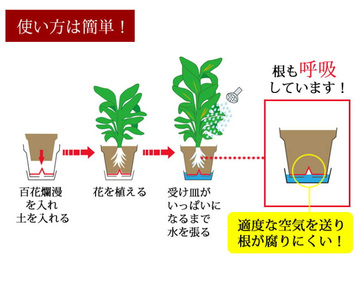 最大65 オフ クーポン配布中マラソン対象 同梱 代引き不可 あかぎ園芸 根腐れ防止剤入り 超かるい 鉢底石 10l 5袋 Ie Monogatari Jp 最大65 オフ クーポン配布中マラソン対象 同梱 代引き不可 あかぎ園芸 根腐れ防止剤入り 超かるい 鉢底石 10l 5袋 Ie Monogatari Jp