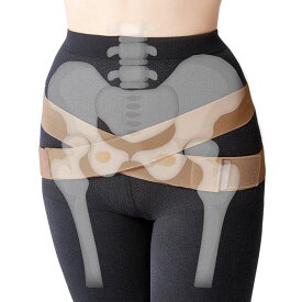 楽天市場 大転子 ベルトの通販