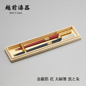   vw ӂ蔢 ˔ { ┓  vw Ǝ 12-16701  yA 蕨 v[g ┓ 
