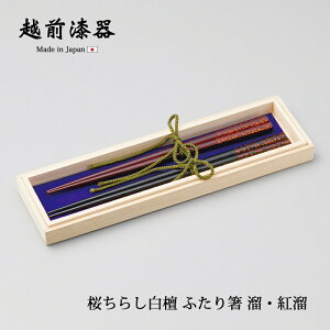   vw ӂ蔢 ˔ { 炵h ӂ蔢 Eg 12-16703  yA 蕨 v[g