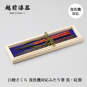   vw ӂ蔢 ˔ { H@ H h H@Ήӂ蔢 Eg 12-16805  yA 蕨 v[g