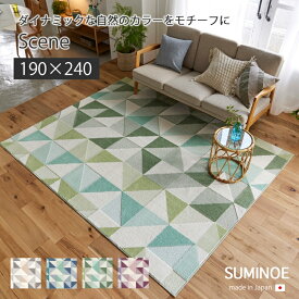マット カーペット 敷物 ラグ シーン22AW 190×240 シーン 22AW 190 240 長方形 防ダニ 床暖対応 ウォッシャブル 日本製 suminoe スミノエ