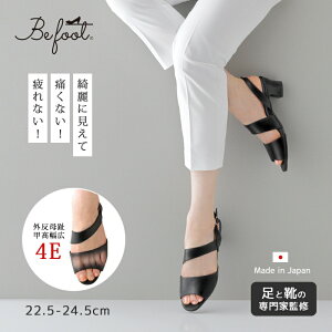 fB[X C T_ 4E O b L ̃vl yȍזT_ q[ Ȃ K R {