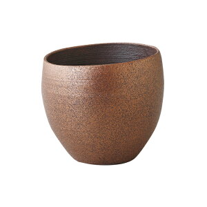 Jbv Rbv  Jbv   H aH    g {