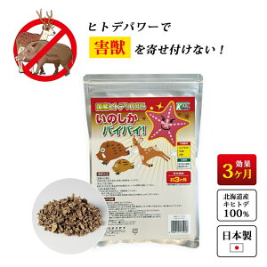   Qb ΍ L   ̂oCoCI  ObY ng c  S~̂ď  VR S {