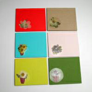 ԂƂ莆 pP[X T-1000 XeX~[t RpNgTCYp gїp ԂƂ肪 n[hP[X ԂƂ莆 莆 { iL DA