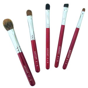 | FM CNuV  CNuVZbg 5{ 2~Zbg ԒZ ACCNZbg ܂Ԃ  ڌ ڐK ACVhE ACuE ACVh[C ϕM F쉻ϕM 