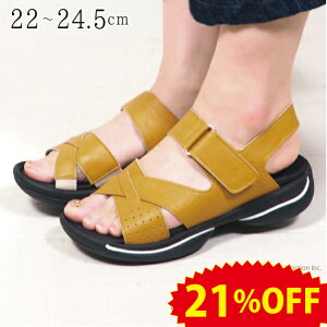 s21%OFFZ[tQb^ T_ fB[X O~T_  ƕt ƃS Xgbv ~ R hL ₷ ₷ ItBXT_ b L { ؂ 