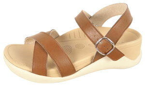 Qb^ fB[X Xgbv T_yRegetA Qb^ T_ Ȃ EFbW\[ tbg Ȃ  ₷  T_  O { ECR003z