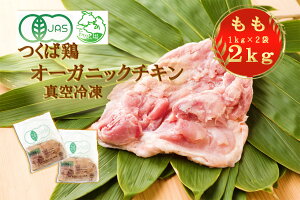 12����育������t���ɔ����v���܂��I���t�w���14���ȍ~�����w�艺�����@�@����2kg�y�����B��z�L�@JAS�F�؁I�@�I�[�K�j�b�N�`�L���@������1kg�{������1kg�i���v2�L���j���������@��錧