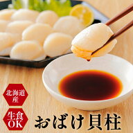 【大サイズホタテ 1キロ 】おばけ ホタテ 生食用 北海道産 帆立 ほたて 貝 貝柱 送料無料 バーベキュー …