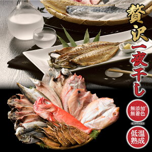 ґ銱Zbgy720HzY  ̂ǂ @q ܂  ڑ ݂  Ђ CN Ⓚ Mtg j j a ̓ ̓ v[g  䒆