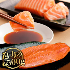 yT[hgpz gEg T[ t@CuX^[ 500g`  TP  CN 芪i hg Ȃ g  CN Ⓚ Ɩp Mtg j j a ̓ ̓ v[g 