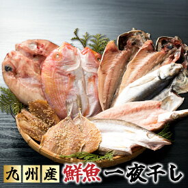 九州産 鮮魚 一夜干し セット【5種11食分】国産 送料無料 あじ アジ 蓮子鯛 あじみりん 真鯛 かます 干物 ひもの 海鮮 冷凍 ギフト 御祝 内祝 誕生日 母の日 父の日 プレゼント お中元 御中元 お歳暮 御歳暮 お年賀 御年賀 暑中見舞い 残暑見舞い 長寿祝い お取り寄せ 発送A