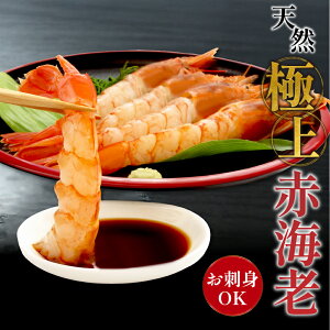 VRԊCV  40-60 2kg CV  Gr  o[xL[ BBQ ܂ CN 芪i Ɩp  CN Ⓚ Mtg j j a ̓ ̓ v[g  䒆 Ε