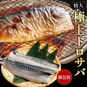 yŕ֗Iz ɏgTo TotB 10  To I  o[xL[ BBQ CN Ⓚ Mtg j j a ̓ ̓ v[g  䒆 Ε 