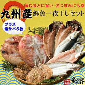 【母の日早割4/19まで♪】干物 塩サバ＆九州産鮮魚一夜干しセット 送料無料 【6種16食分】あじ 蓮子鯛 あじみりん干し 真鯛 かます 冷凍 ギフト 御祝 内祝 誕生日プレゼント 干物 干物セット 魚 海鮮 発送A 母の日 父の日 年賀 誕生日祝い 母の日 父の日