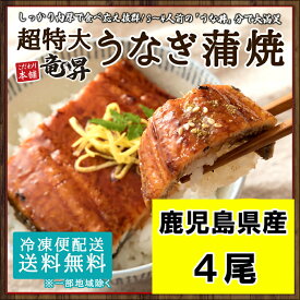 【40％OFFクーポン発行中♪】ウナギ ウナギ蒲焼き 4尾 鹿児島県産 送料無料 うなぎ ウナギ 鰻 蒲焼き 国内産 国産 土用の丑の日 お年賀 ギフト 冷凍食品 業務用 ギフト 御祝 内祝 誕生日 プレゼント コンペ 景品 発送D 母の日 父の日 年賀 誕生日祝い 母の日 父の日